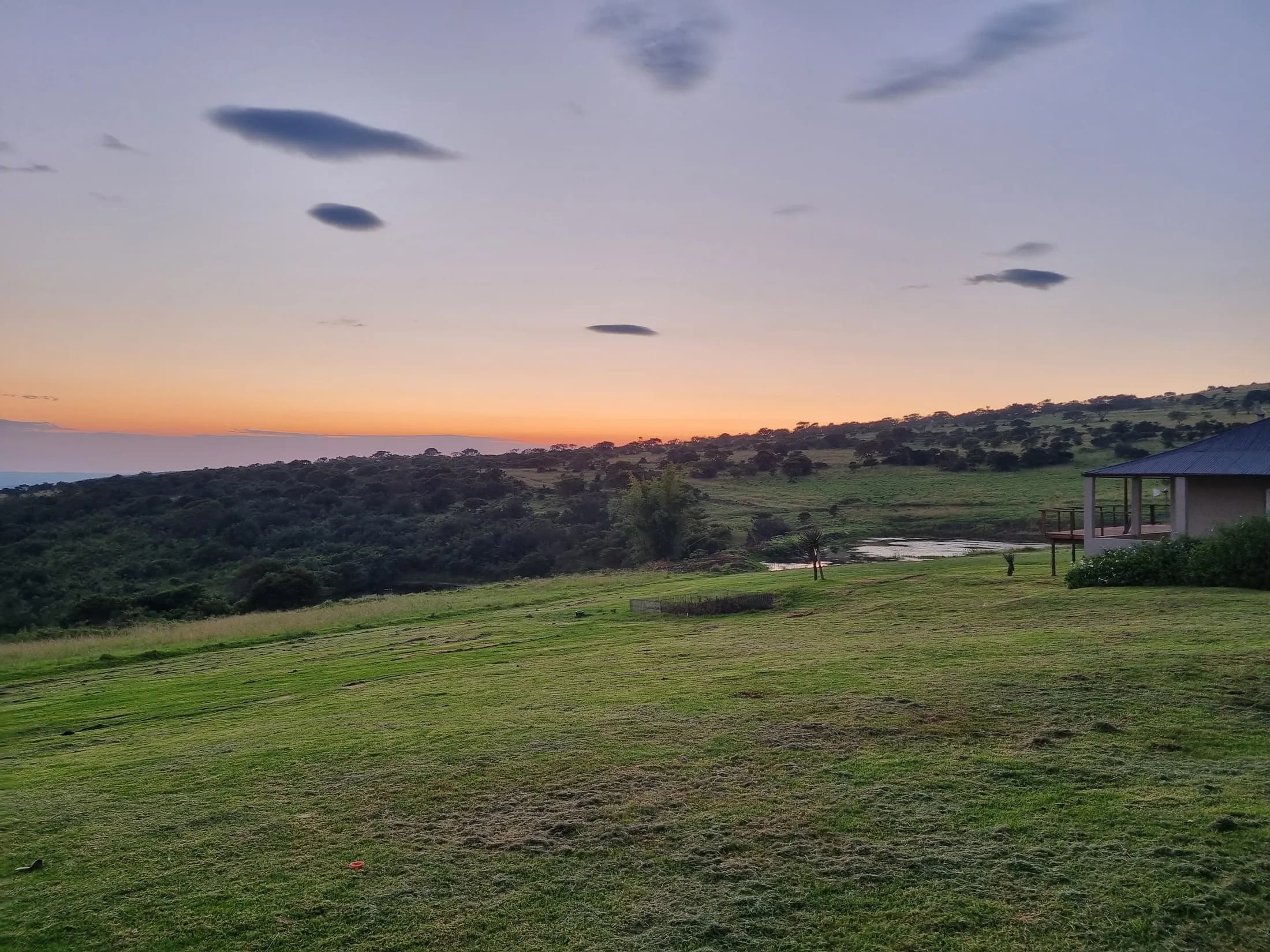 A green farm landscape beneath a softly coloured dawn sky