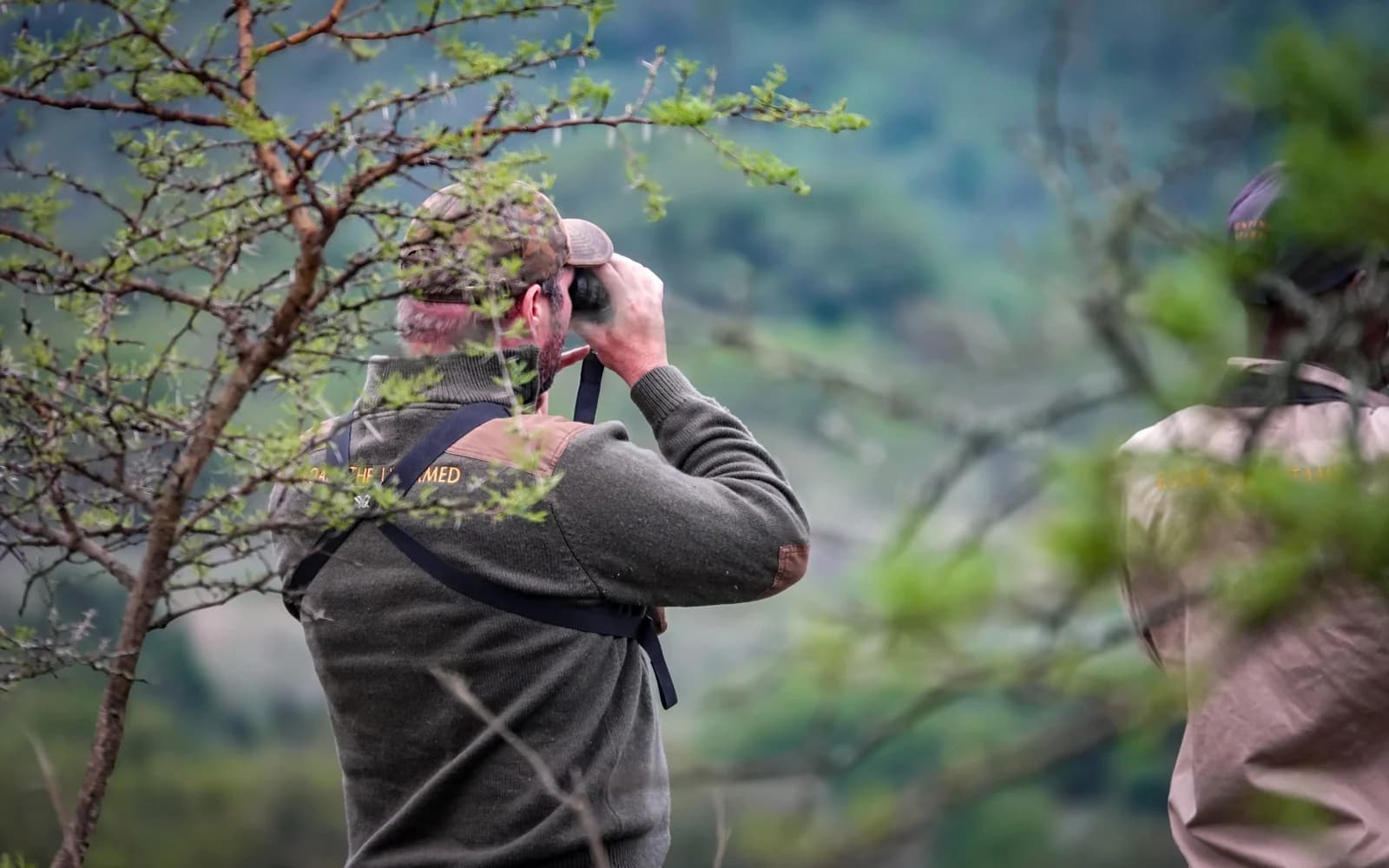 A person using binoculars among branches in the field
