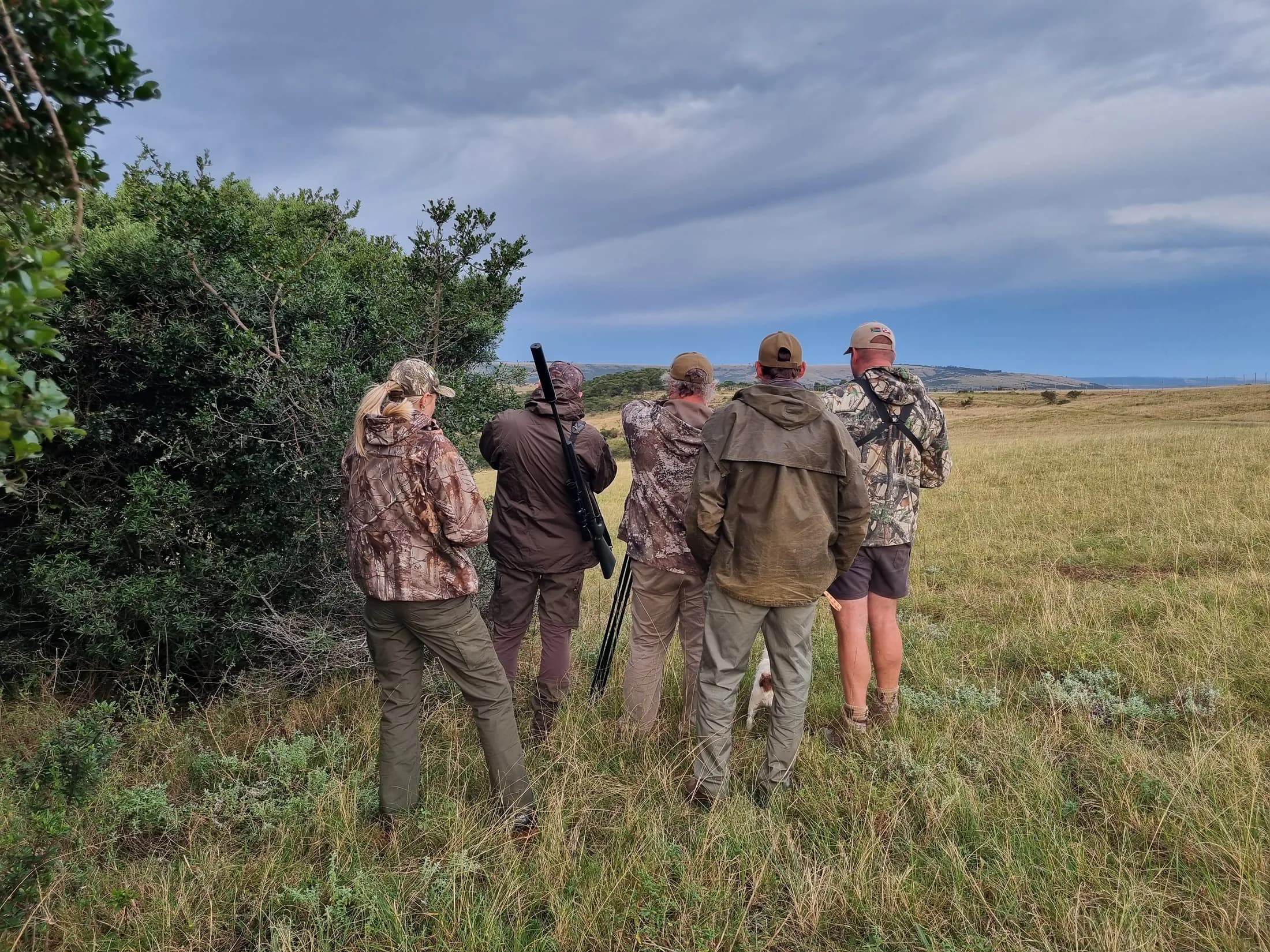 A hunting group observing open country beside thick bush