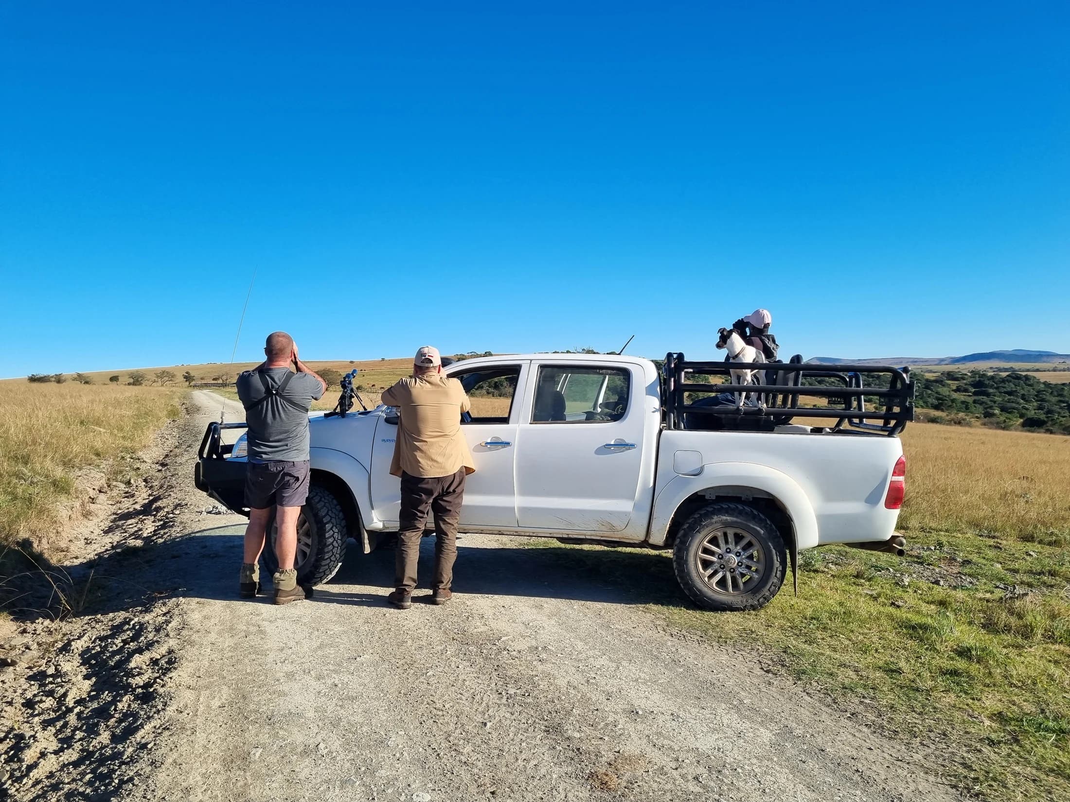 People gathered beside a safari vehicle in open grassland