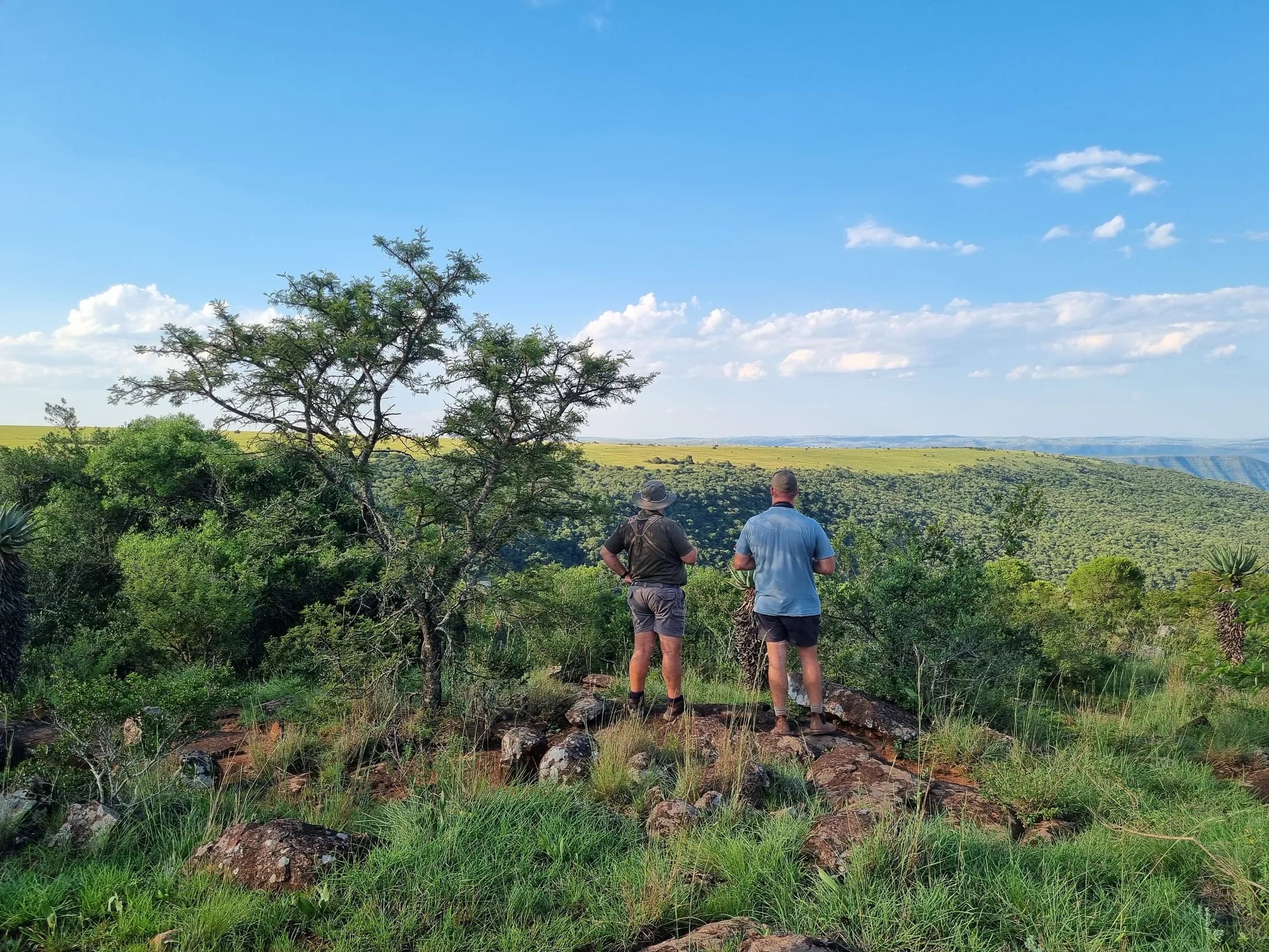 Two people looking out over the bush from a high viewpoint